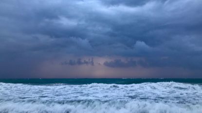 fl-1555675822-p2qn4jiyac-snap-image