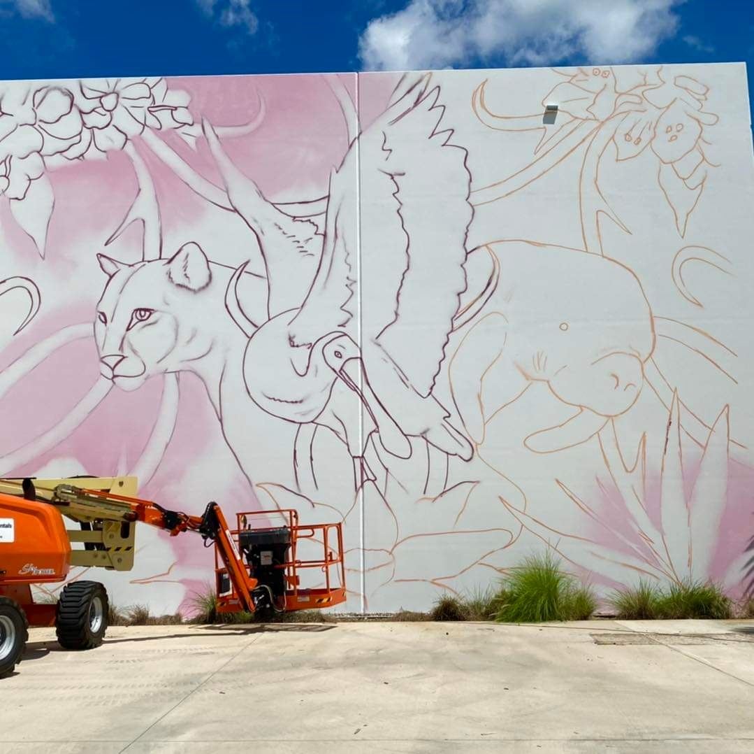 Picture of just the beginning sketches of mural on the wall 