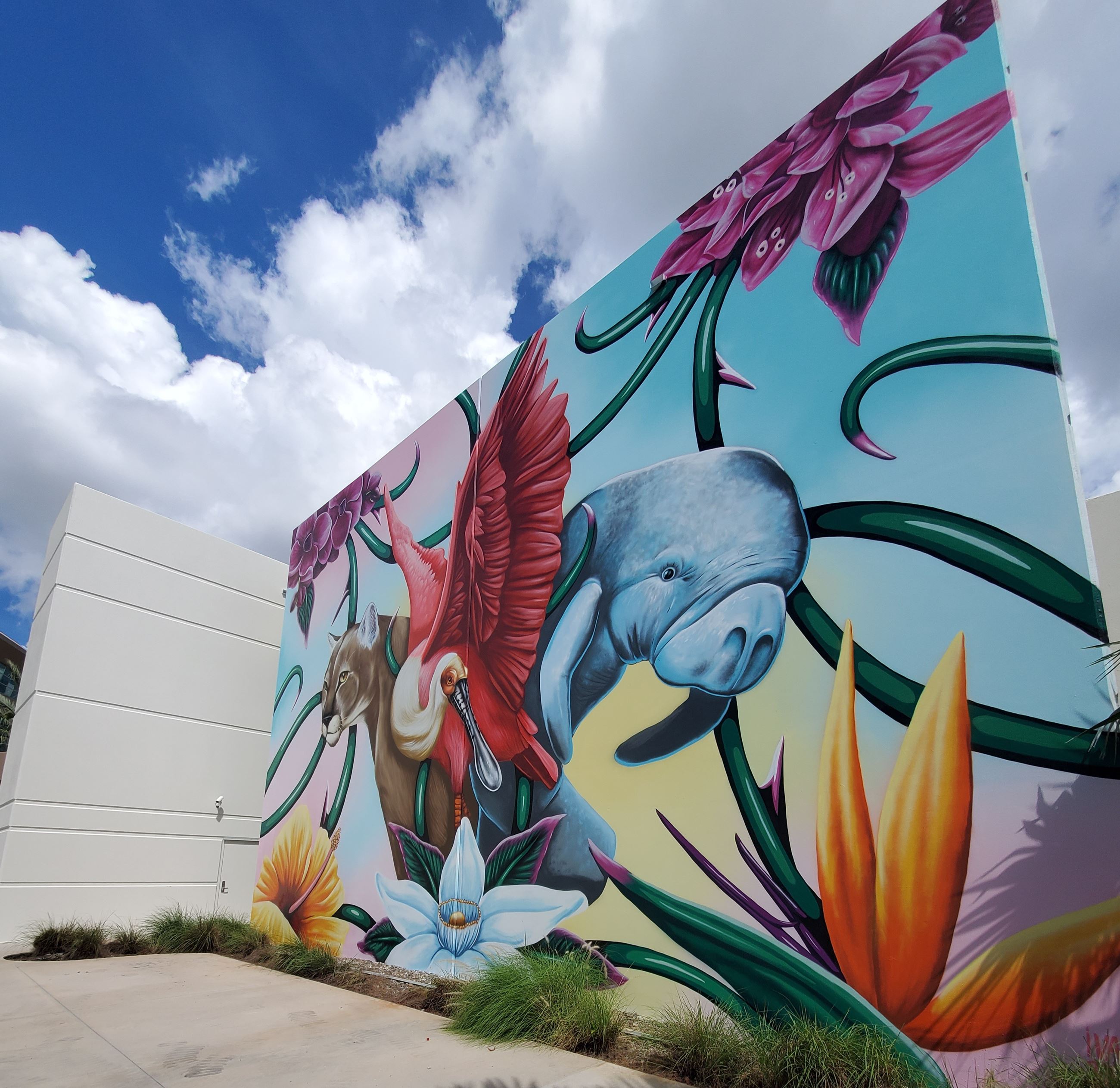 Picture of side view of Mural. Vibrant colors. Picture of flamingo, panther, and manatee with flower