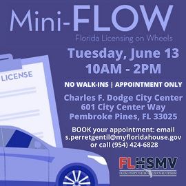 Mini Flow June 13web