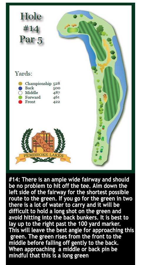 hole-14.jpg