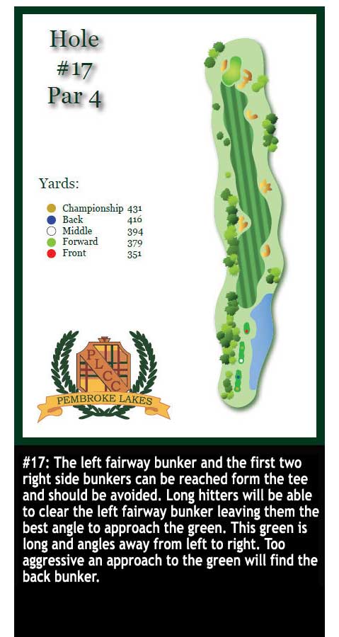 hole-17.jpg